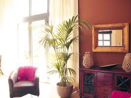 Le Chateau Des Cinq Cantons Hotel Carpentras Luaran gambar